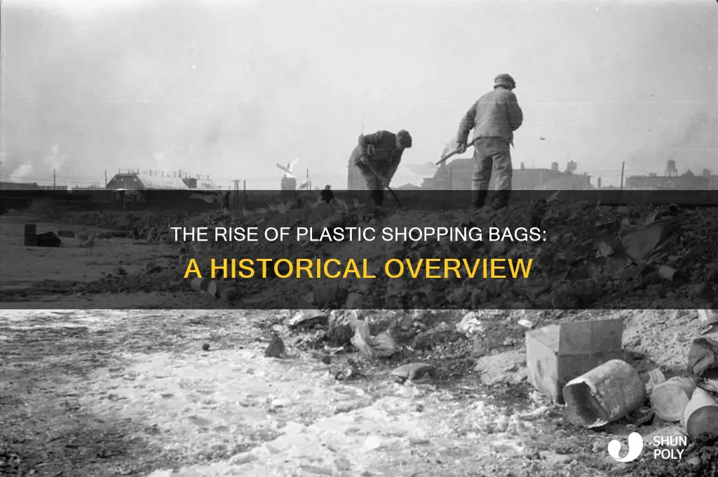 when did plastic shppong bags start