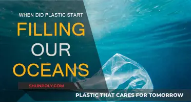 Plastic Pollution: When Did Our Oceans Start Drowning?