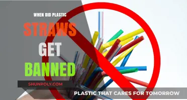 Plastic Straw Ban: Timeline of Global Environmental Policy Changes