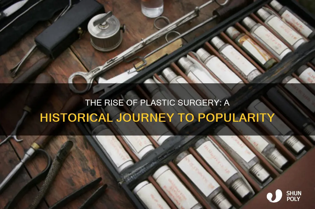 when did plastic surgery become popular