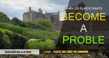 Plastic Pollution: A Problem Since When?