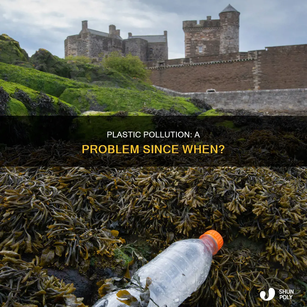 when did plastic waste become a problem
