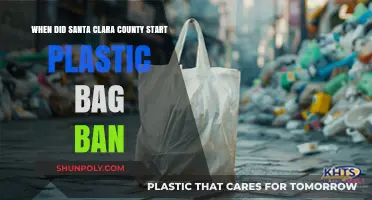 Santa Clara County's Plastic Bag Ban: When Did It Begin?