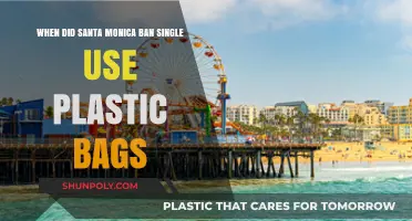 Santa Monica's Plastic Bag Ban: A Green Milestone and Impact