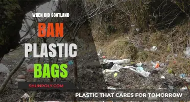 Scotland's Plastic Bag Ban: A Timeline of Environmental Progress