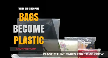 The Evolution of Shopping Bags: When Plastic Took Over