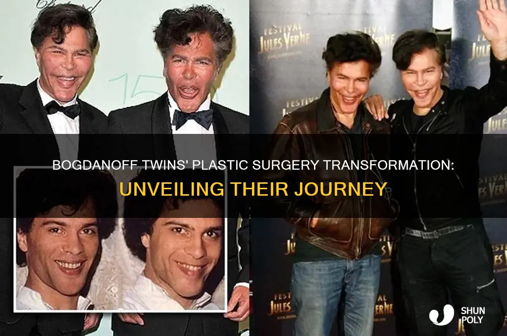when did the bogdanoff twins get plastic surgery