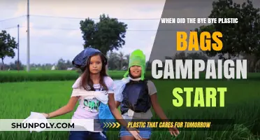 Bye Bye Plastic Bags Campaign: Origins and Launch Timeline Explained