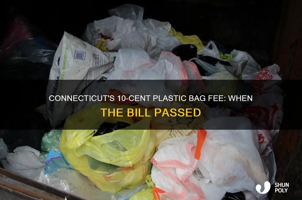 when did the ct 10 cents plastic bag bill passed