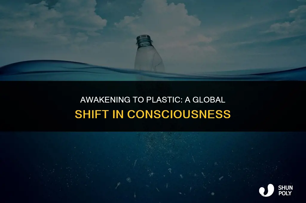 when did the worl start becoming conscious of plastic