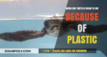 Plastic Peril: The Tragic Timeline of Turtle Deaths