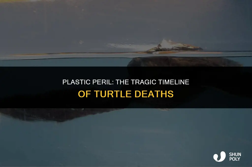 when did turtles begin to die because of plastic