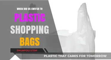 The Shift to Plastic: When Did Shopping Bags Change?