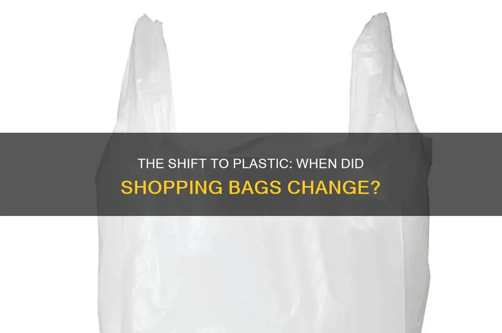 when did us switch to plastic shopping bags