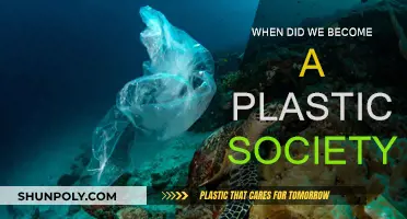 Plastic Society: When Did We Start Worshipping Plastic?