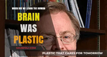 Unveiling the Discovery of the Brain's Plasticity: A Historical Perspective
