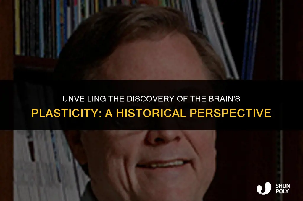 when did we learn the human brain was plastic