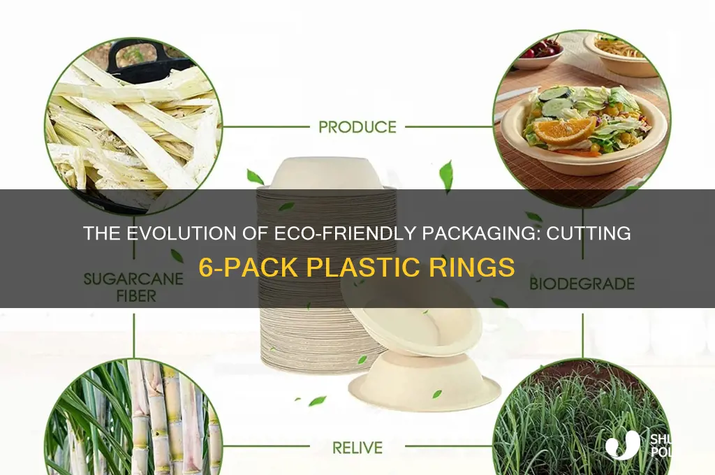 when did we start cutting 6 pack plastic rings