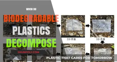 Unveiling the Decomposition Timeline of Biodegradable Plastics