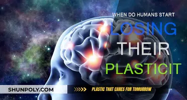 The Plasticity of the Human Brain: A Limited Lifespan