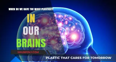 Unlocking Potential: The Optimal Period for Brain Plasticity