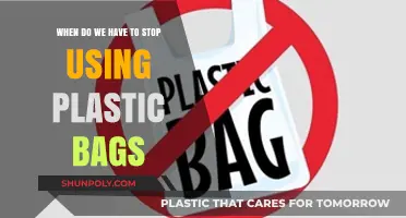 Ending Plastic Bag Use: Urgent Steps for a Sustainable Future