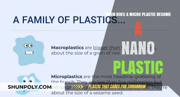 Exploring the Threshold: Microplastics' Transition to Nanoplastics