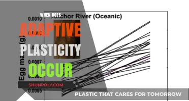 Exploring the Optimal Conditions for Adaptive Plasticity