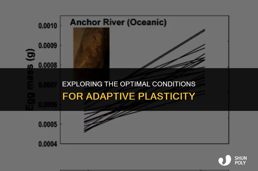 when does adaptive plasticity occur