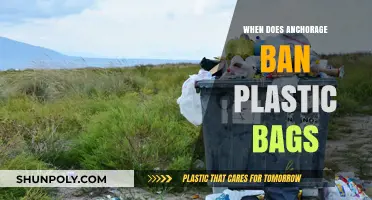 Anchorage's Plastic Bag Ban: When It Takes Effect and Why