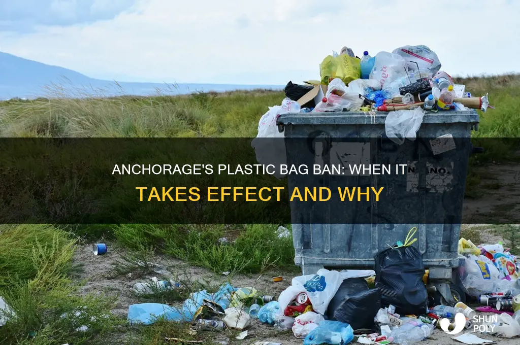 Anchorage's Plastic Bag Ban: When It Takes Effect And Why | ShunPoly