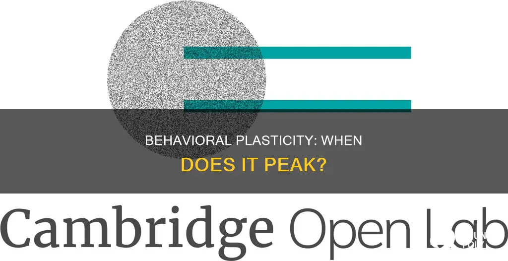 when does behavioral plasticity occur most often
