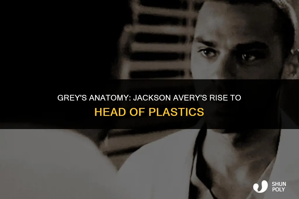 when does jackson avery become head of plastics