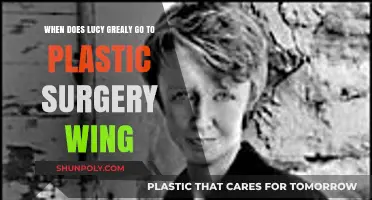 Lucy Grealy's Journey to the Plastic Surgery Wing