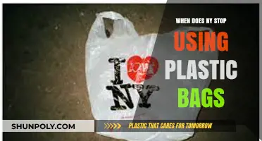 New York's Plastic Bag Ban: When Does It Take Effect?