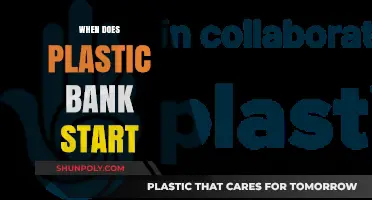 Exploring the Launch Timeline of Plastic Bank: What to Expect