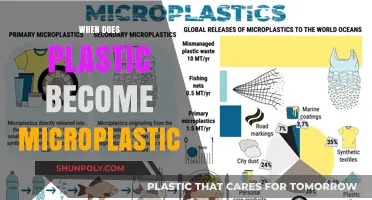 From Macro to Micro: The Journey of Plastic Pollution