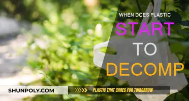 Plastic Decomposition: Understanding the Lifespan of Plastic Materials