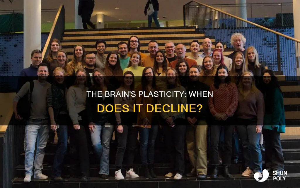 when does the brain lose plasticity