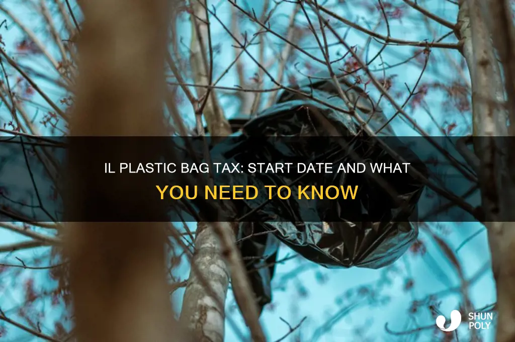 when does the il plastic bag tax start