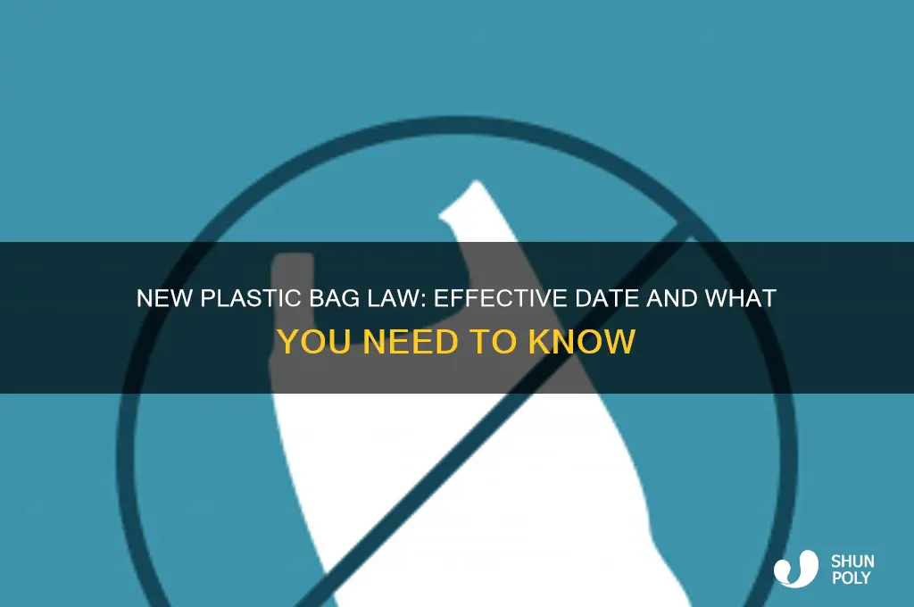 when does the new plastic bag law go into effect