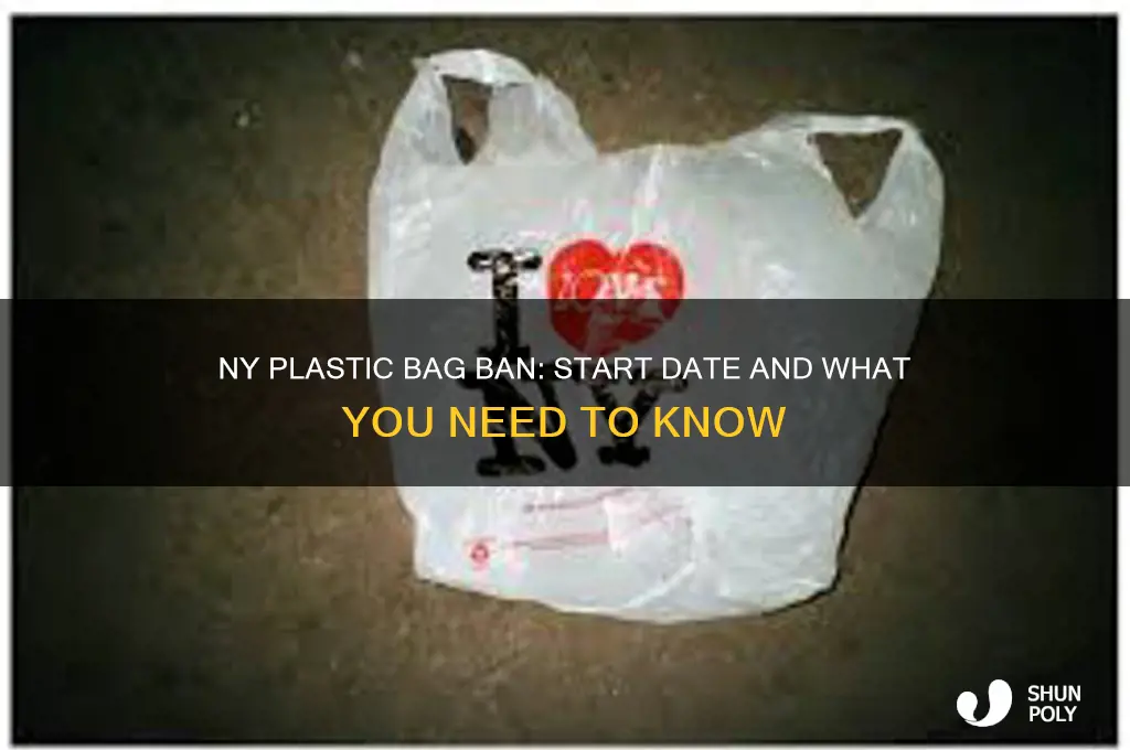 when does the ny plastic bag can begin