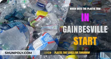 Gainesville's Plastic Ban: What You Need to Know