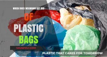 Wegmans' Plastic Bag Phase-Out: Timeline and Eco-Friendly Alternatives