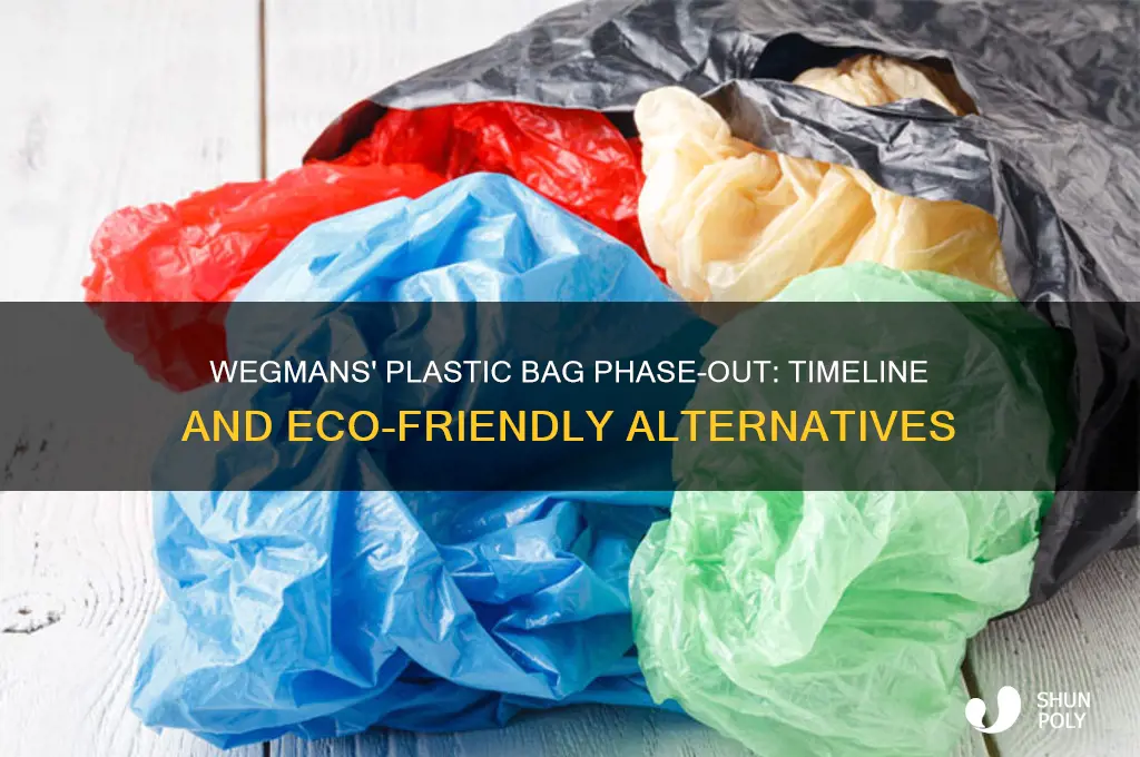 when does wegmand get rid of plastic bags
