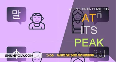 Brain Plasticity: Peak Times and How to Optimize