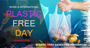 A Plastic-Free World: International Day Awareness
