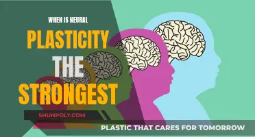Brain's Greatest Neuroplasticity: A Critical Window of Opportunity
