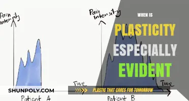 Exploring the Peak Moments of Plasticity in Learning and Development