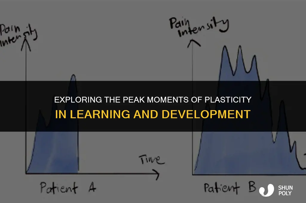 when is plasticity especially evident